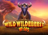 RTP Pragmatic Play Wild Wildebeest Wins